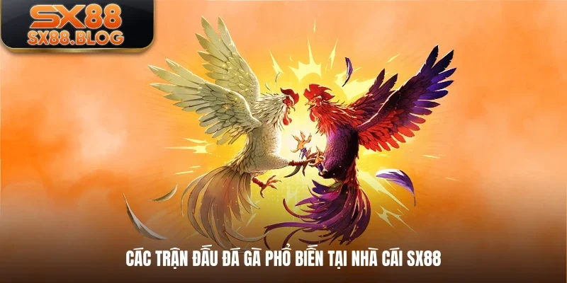 Các trận đấu đá gà phổ biến tại nhà cái SX88