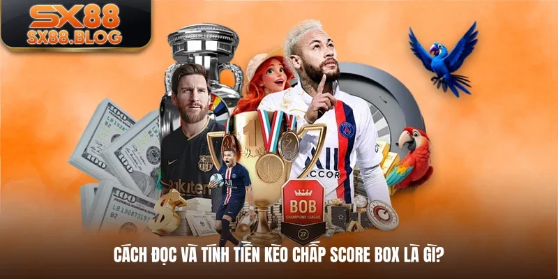 Cách đọc và tính tiền kèo chấp score box là gì?