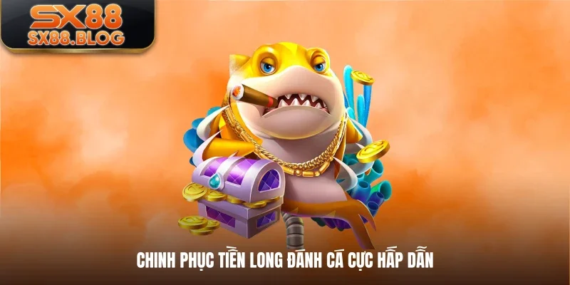 Chinh phục Tiền Long Đánh Cácực hấp dẫn